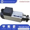 Motor de Corte de Alta Velocidade de Precisão Bruni Italiano, Motor Especial para Flush de Máquina de Colagem de Bordas