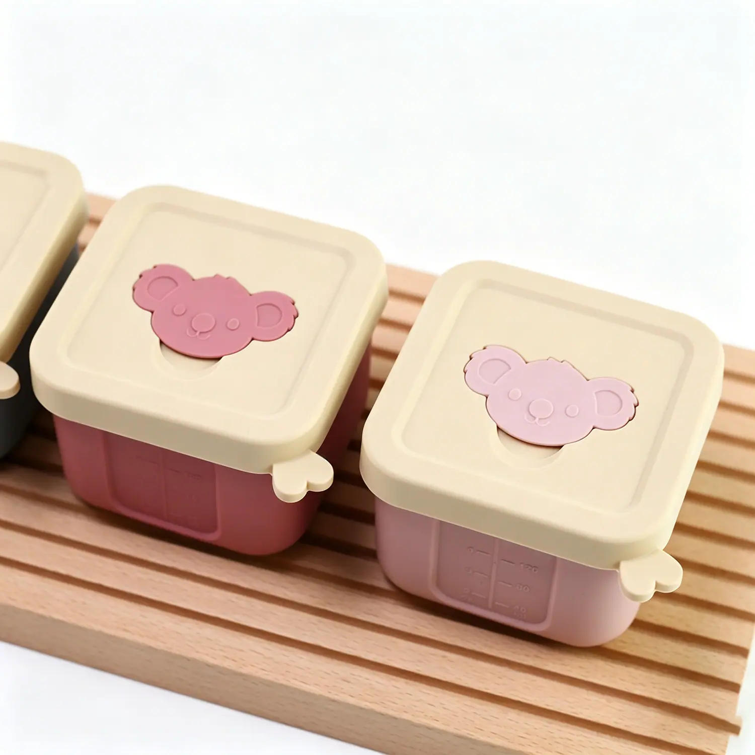 food storage box (4)