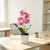 Vaso de areia preta com 5 orquídeas Phalaenopsis artificiais, arranjo de flores artificiais para sala de estar, rack de TV, decoração floral para mesa de escritório