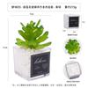 Ornamento de escritorio de loto verde carnoso de simulación en maceta, regalo, mini bonsái verde, planta de simulación TEMU
