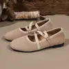 Mocasines de punta redonda para comercio electrónico transfronterizo, nuevo estilo primavera y otoño, estampado de leopardo, casual, talla grande, talla 43, zapatos planos sin cordones, en stock