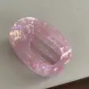 Nuevo Pinza para el Cabello de Lujo con Forma de Concha para la Parte Posterior de la Cabeza, Pinza Curva Grande de Acetato con Abalón para Cabello Grueso