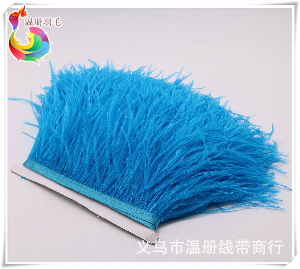 6 lake blue ostrich feather fr
