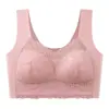 Ropa Interior Transfronteriza de Talla Grande Sin Aros Push-Up de Encaje Estilo Chaleco Sin Costuras para Mujer Bra de Talla Grande de Comercio Exterior Europeo y Americano