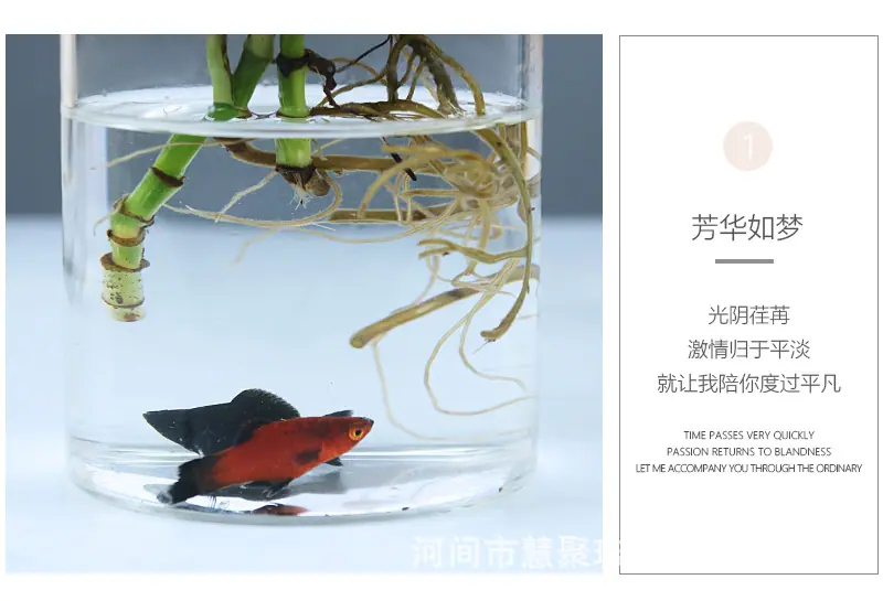 花瓶详情_15.jpg