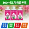 Solución Nutritiva Especial para Buganvilias, Fertilizante para Plantas Verdes de Balcón y Patio, Suplementa Fósforo y Potasio para Promover la Ramificación y la Formación de Flores