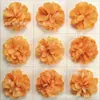 Cabeça de flor artificial laranja de alta qualidade, multiestilo, para grampo de cabelo DIY, guirlanda de flores, buquê, acessórios, material decorativo para arranjo de flores de bonsai