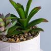 Fornecimento de Fábrica Vaso de Cerâmica Branco Plantador de Suculentas para Ornamentos Carnudos Transfronteiriços