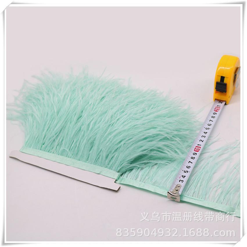 33 mint green ostrich feather