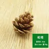 Pinha Natural Decoração de Árvore de Natal Pinha Feita à Mão DIY Decoração de Frutas Flor Seca Decorações de Natal Estrada de Tiro