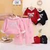 Conjunto Novo Outono e Inverno para Meninas 2026, Roupa de Inverno Espessa com Forro de Fleece Infantil, Conjunto de Duas Peças com Moletom com Capuz para Bebê Venda por Atacado