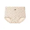 Cueca Boxer Feminina Algodão Puro Estampada Floral 10A Antibacteriana Gancho Estendido Tamanho Grande Justa ao Corpo Roupa Íntima Feminina Floral Atacado
