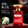 Difusor de Fragrância de Luxo para Carro e Casa, Aroma de Longa Duração para Interior de Carro, Remoção de Odores, Ornamento de Fragrância, Fragrância de Estilo Igual para Hotel e Carro
