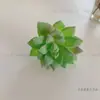 Ins Cactus Carnoso de Simulación Planta en Maceta Creativa Decoración Planta Verde Flor Artificial Escritorio de Oficina Adornos Pequeños Lote de Fábrica