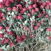 Flanela artificial rosa vermelha única decoração de casa buquê de casamento Dia dos Namorados Dia dos Namorados Chinês rosa flor artificial atacado