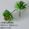 Plantación de Bonsái de Suculentas Simuladas Cuidadosamente Seleccionadas Mini Accesorios de Suculentas Falsas Terciopelo Plantas Verdes Decoración del Hogar DIY Adornos