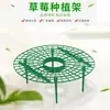 Suporte para Plantio de Morango, Estrutura de Suporte Simples, Suporte para Morangos, Rack de Bandeja de Flores para Jardinagem Anti-Podridão e Anti-Queda