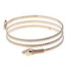 Europa e Estados Unidos pulseira de animal personalizada transfronteiriça pulseira de cobra de metal pulseira de braço pulseira de braço exagerada joias atacado spot