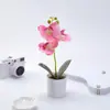 Lavabo Blanco Piedra Flor de Orquídea Phalaenopsis en Maceta Flor Artificial Planta Artificial Decoración de Pared de Flores para el Hogar Boda Día de San Valentín Flor Artificial
