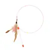 Palo Atrapador para Gatos, Atrapador de Plumas para Gatos, Juguete de Alambre de Acero para Aliviar el Aburrimiento, Venta al por Mayor de Mascotas, Juguete Interactivo para Mascotas de Venta Caliente Transfronteriza