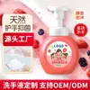 Higienizador de Mãos Espuma Antibacteriana Personalizado Higienizador de Mãos Doméstico Oem Frutado Mousse de Pressão Higienizador de Mãos Fábrica de Origem