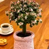 Suculenta Forma de Paleta de Caramelo Rama Dorada Hoja de Jade, Florece Todo el Año, Planta Verde de Interior Balcón, Planta de Flor en Maceta
