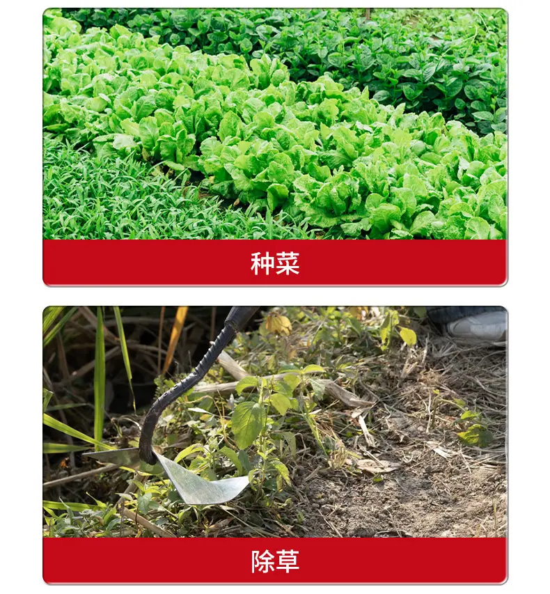勾锄_04.jpg