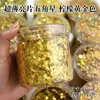 Lentejuelas Estrellas de Cinco Puntas Ultradelgadas Mini Estrellas Pequeñas de 1 mm 2 mm 3 mm Estrellas de Cinco Puntas Polvo Brillante para Manualidades DIY
