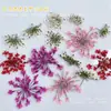 Novos Acessórios para Unhas Estilo Ins Japonês Frescos e Simples Misturados com Renda Natural e Flores Secas Decorações de Unhas DIY Atacado