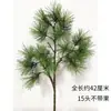 Galhos de pinho com frutos galhos de pinho falsos paisagem de pinho agulhas de pinho pinho negro galhos de cipreste pinho de boas-vindas árvore de Natal cavalinha grande pinho
