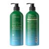 KORMESIC - Champú y acondicionador de gel de ducha con control de aceite de árbol de té inglés completo, suave, fabricantes de comercio exterior transfronterizo al por mayor