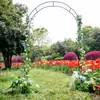 Fábrica de Origen Venta Caliente Transfronteriza Bastidor de Hierro para Trepar en Patio Boda Jardín Bastidor para Flores Rosas Bastidor para Uvas