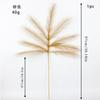 Novo Produto 97cm Grama dos Pampas 9 Galhos Flor Seca Grama dos Pampas Casamento Grama Limão Cana Artificial Grama dos Pampas Falsa Grama Rabo de Cachorro