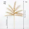Decoração para Casa e Casamento com Grama Pampas, Grama Pampas para Decoração de Cenário de Casamento, Simulação de Novo Produto Transfronteiriço