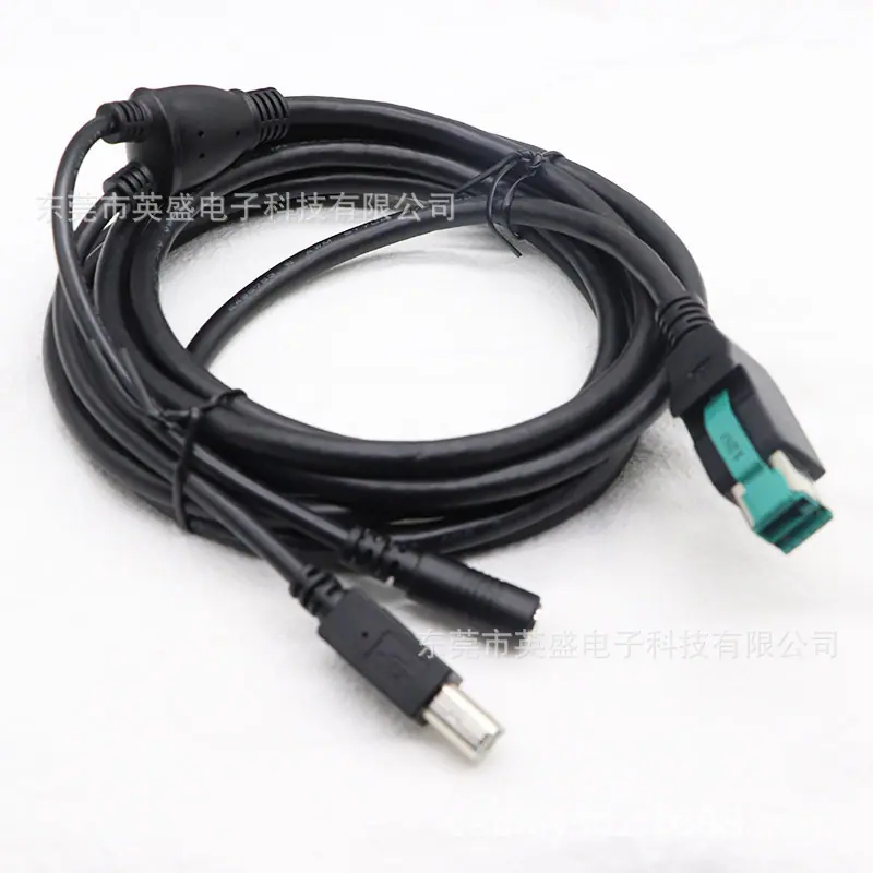 12V 8P公转接DC5.5*2.1母+USBBM