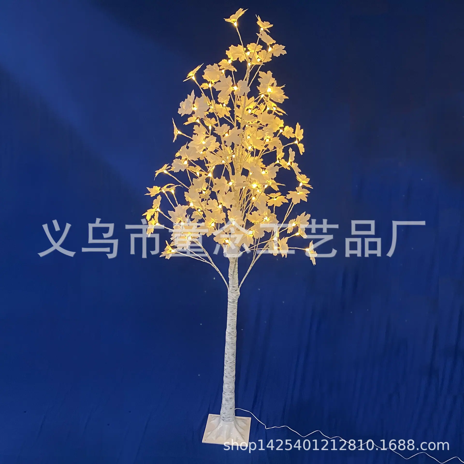 IMG-5(10)