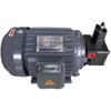 Bomba de Óleo Hidráulico Eixo Interno Motor 0.75Kw 1.5Kw 2.2Kw 3.7Kw 5.5Kw Plug-In Motor Taiwan