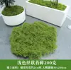 Fio de Seda Musgo Musgo Bonsai Cobertura Superior Decoração de Planta Verde Filamentosos Musgo Artificial DIY Paisagismo Manual Decoração
