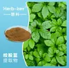 Saponinas Totais de Gynostemma 20% Shaanxi Huike Fabricante Fornece Extrato de Gynostemma Grau Alimentício Pó de Gynostemma