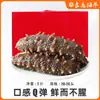 Presente do Festival do Meio do Outono Autêntica Caixa de Presente de Pepino-do-Mar de Dalian Pronto para Comer 2 Jin Pepino-do-Mar de Liaoning Pepino-do-Mar Espinhoso Não Requer Embebição Alimento Fresco Congelado
