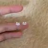 Brincos de Prata Pura S999 com Zircônia Exquisita e Orelha de Gato para Mulheres, Simples e Luxuosos, Sensação de Alto Padrão, Adequados para Estudantes, Amigáveis para as Orelhas, Dropshipping