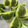 Venta Directa Transfronteriza de Plantas Verdes Artificiales, Decoración para el Hogar, Paisajismo de Hoteles, Decoraciones con Plantas Verdes para Celebraciones de Bodas y Materiales Florales