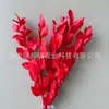 Arranjo de flores eternas folha laranja com ramos de folhagem, materiais florais DIY com toque de alta qualidade, atacado de fabricante de Yunnan, decoração de flores eternas