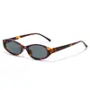 Moda nueva gafas de sol de exportación estilo ojo de gato transfronterizo europeo y americano, gafas de forma ovalada, versátiles para hombres y mujeres, protección UV