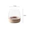 Estilo Japonês Celebridade da Internet Vidro Transparente Hidropônico Sala de Estar Arranjo de Flores Mesa Decoração Planta Rosa Verde Vaso Hidropônico Tanque de Peixes