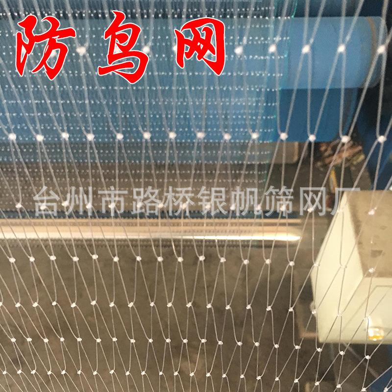 防鸟网4.jpg