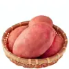 Batatas de Alta Montanha de Yunnan Batatas Frescas de Casca Vermelha Batatas de Polpa Amarela 5kg Batatas de Fazenda Batatinhas Legumes Frete Grátis