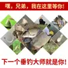 Licor de Medicina Tradicional China para Pesca, Medicina Pequeña, General para Pozos Negros de Pesca Salvaje Carpa Crucian, Carpa, Cebos para Carpa y Carpa Crucian, Aditivo Atractor de Peces, Atractante Alimenticio