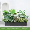 [Serie Y80] Decoración de Partición de Planta Verde Simulada Macetero Maceta Valla Paisajística de Plástico Biónico Diseño