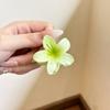 Estrella Mismo Estilo Flor de Huevo Pinza de Agarre Femenina Estilo Europeo y Americano Vacaciones de Verano Pinza de Tiburón Parte Trasera de la Cabeza Disco Horquilla Adorno para el Cabello
